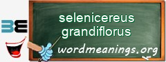 WordMeaning blackboard for selenicereus grandiflorus